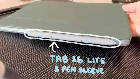 Galaxy Tab S6 Lite S Pen Sleeve! (short review)